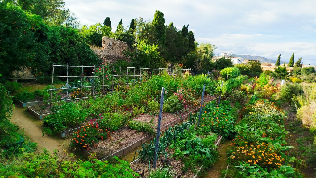 Diseño de tu terreno en Permacultura
