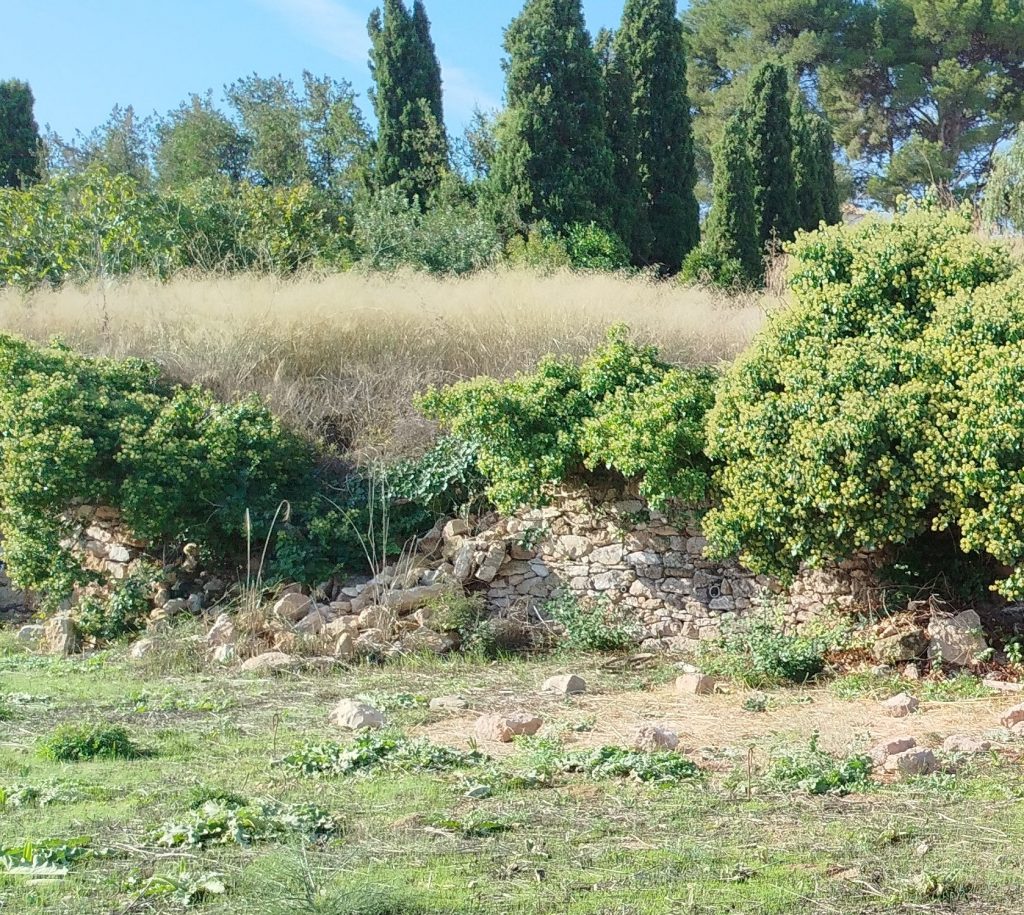 Restauración de Márgenes en Piedra Seca